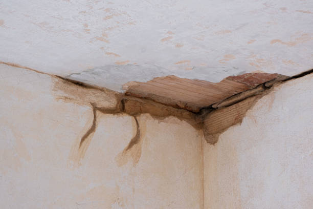 Best Flooded house restoration  in Deridder, LA
